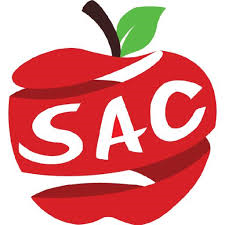  Picture of apple on white background